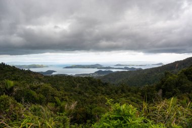 Yoğun bitki örtüsü ile yemyeşil bir arazinin panoramik görüntüsü, sakin bir koy ve bulutlu bir gökyüzünün altındaki uzak adalara bakıyor..