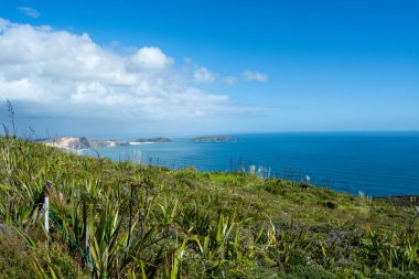 Ön planda yemyeşil bitki örtüsü ve dağınık bulutlarla dolu açık bir gökyüzünün altında engin mavi bir okyanus bulunan manzaralı bir sahil manzarası..