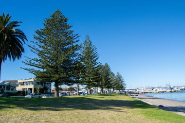 Açık mavi bir gökyüzü ve arka planda limana yanaşmış teknelerle çimenli bir bölgeyi kaplayan uzun çam ağaçlarının yer aldığı manzaralı bir deniz manzarası..