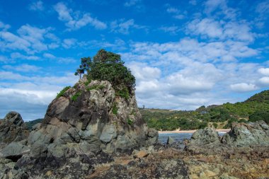 Üzerinde yeşillik bulunan belirgin bir kaya oluşumunu içeren kayalık bir kıyı manzarası, dağınık bulutlu mavi bir gökyüzünün altında. Sahne, kıyı şeridinin doğal güzelliğini yakalar..