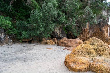 Büyük kayalar ve yemyeşil yeşilliklerin yer aldığı kayalık bir sahil manzarası. Kumlu sahil, kısmen bitki örtüsüyle gizlenmiş mağaraları olan kayalık bir çıkıntıya götürür..