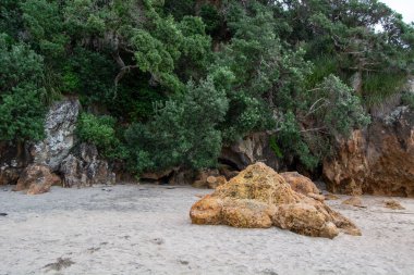 Arka planda büyük kayaların ve yemyeşil çimlerin olduğu kayalık bir sahil sahnesi. Kumlu sahil görülebilir, kayalar ve kumdan gelen dokuların karışımıyla..