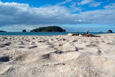 Ön planda yumuşak kum, kıyıda hafif dalgalar ve bulutlu bir gökyüzünün altında yemyeşil adalar içeren sakin bir sahil sahnesi..