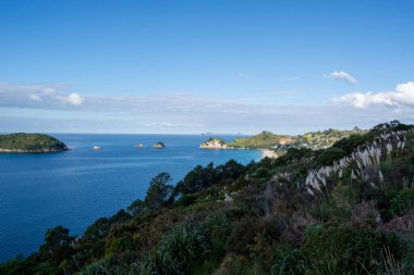 Bereketli yeşilliklerin, sakin mavi suların ve berrak mavi gökyüzünün altındaki uzak adaların bulunduğu manzaralı bir kıyı manzarası. Manzara bitki örtüsü ve kayalık oluşumların bir karışımını sergiliyor..