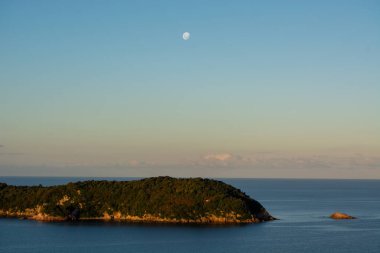 Huzurlu bir deniz ve berrak bir ayın altında yemyeşil bir adanın bulunduğu sakin bir manzara..