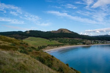 Sakin bir körfez, kumlu plaj ve açık mavi gökyüzünün altında yuvarlanan yeşil tepelerin yer aldığı sakin bir kıyı manzarası. Sahne, yemyeşil bitki örtüsü ve uzak tepelerle doğanın güzelliğini yakalar..