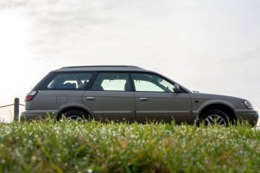 Bulutlu bir gökyüzünün altında çimenli bir araziye park edilmiş gümüş renkli bir steyşın vagonun yan görüntüsü..