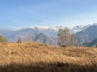 Altın Tarlaları ve Karlı Tepeleri olan Manzaralı Dağ Manzarası