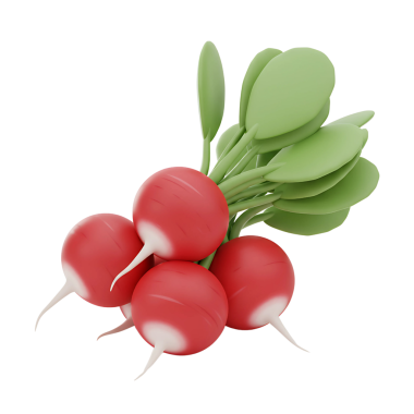 Yeşil yapraklı ve beyaz uçlu canlı kırmızı turpların taze üç boyutlu simgesi. Sebze, sağlıklı beslenme, salata ve bahçeyle ilgili tasarımlar için mükemmel..