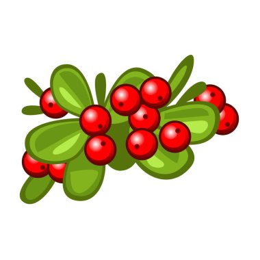 Kırmızı böğürtlen, beyaz arka planda izole edilmiş..