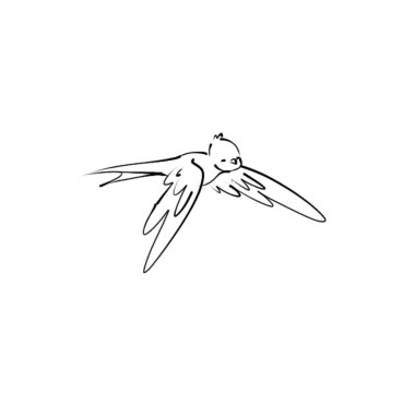 El çizimi kuş uçuşu. Uçan kuşun vektör çizimi. kuş simgesi beyaz üzerine izole.