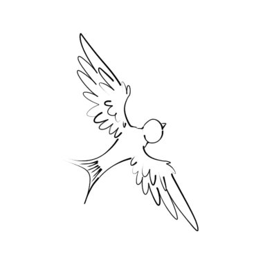 Beyaz arka planda uçan güvercin vektör çizim