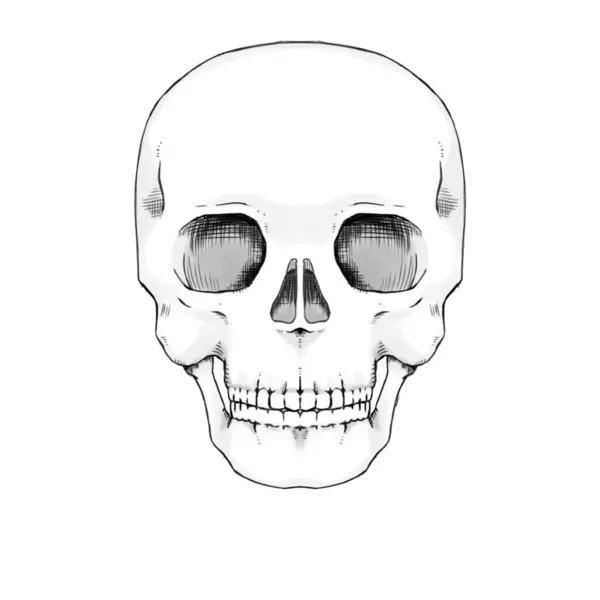 Siyah arka planı olan bir insan kafatası. Cadılar Bayramı illüstrasyonu.