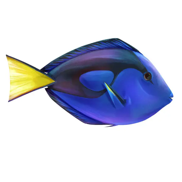 Beyaz arkaplanda izole edilmiş balık