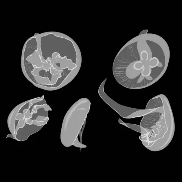 Gıda ve restoran ikonunun vektör nesnesi. Stok için yemek ve pişirme vektörü simgesi.