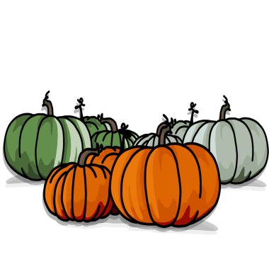 farklı renkte balkabakları