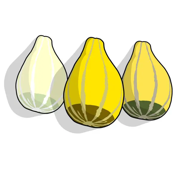 vektör, sarı ve turuncu armut kümesi