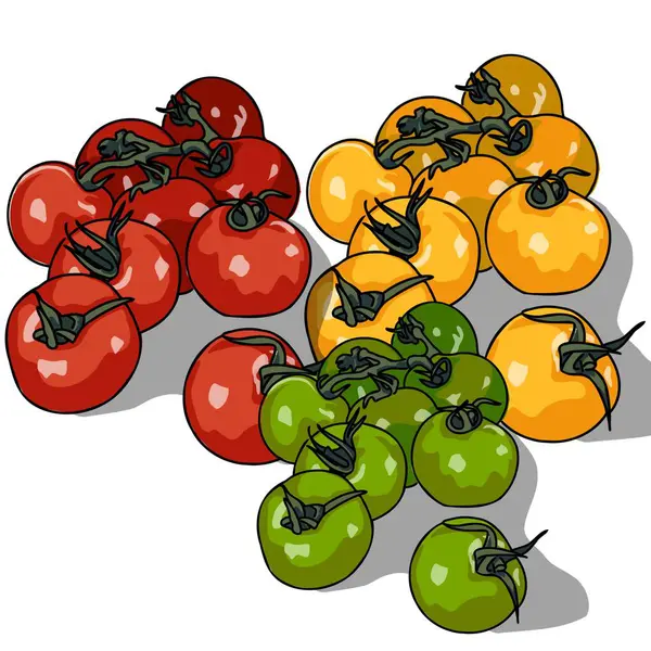 taze kiraz meyveleri, illüstrasyon, beyaz arkaplanda vektör