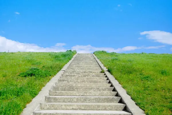 Parktaki merdivenler.