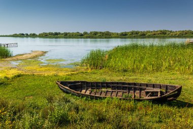 Tuna Nehri kıyısında bulunan eski bir ahşap tekne enkazı. Fotoğraf Romanya 'nın Tuna deltasında çekildi.
