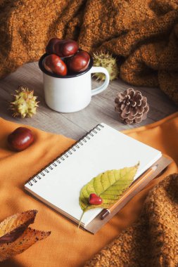 Klasik sonbahar natürmortu. Boş bir not defteri, bir yaprak, bir kalem, küçük kırmızı bir kalp, tahta bir masanın üzerinde kestanelerle dolu beyaz bir kupa. Mevsimlik natürmort. Üst görünüm.