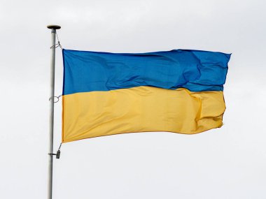 Gökyüzü zemininde mavi bir Ukrayna bayrağı dalgalanır. ulusal sembol