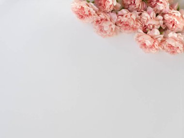 Beyaz arka planda dekoratif bir çiçek kompozisyonu. Düz yerde, üst tarafta. Bir buket pembe şakayık. Uzayı kopyala Metin için bir çerçeve