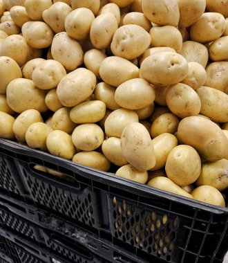 Büyük bir yığın taze, açık sarı patates. Yumuşak bir dokusu var. Kara kutuda düzenlenmiş. Görüntü bolluk ve tazelik hissi veriyor. Hasatın zenginliğini vurguluyor..