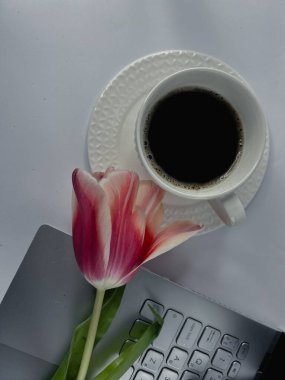 Beyaz arka planda bir fincan kahve, dizüstü bilgisayar, turuncu-pembe lale tomurcuğu, sabah bahar atmosferi. Yüksek kalite fotoğraf
