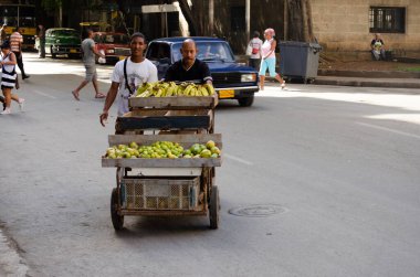 Havana 'da bir sokakta muz ve limon dolu bir arabayı iten iki adam.