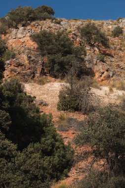 Kuru yamaçta engebeli kayalar, açık mavi gökyüzünün altında yeşil ve kuru bitki örtüsü görülüyor.