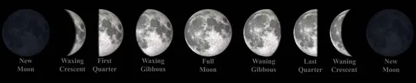 Moon Waning Crescent, Third Quarter, Waning Gibbous, Dolunay, Waxing Gibbous, First Quarter ve Waxing Crescent 'ın tüm aşamaları, 
