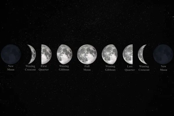 Yıldızlı bir gece gökyüzünün güzel bir görüntüsü, Ay 'ın tüm evreleri Waning Crescent, Üçüncü Çeyrek, Waning Gibbous, Dolunay, Waxing Gibbous, İlk Çeyrek ve Balmumu Hilal, 