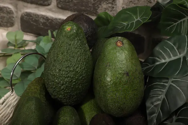 Dekoratif Yeşillik içeren Sepette Taze Olgun Avokadolar