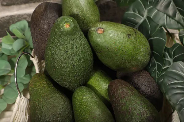 Dekoratif Yeşillik içeren Sepette Taze Olgun Avokadolar