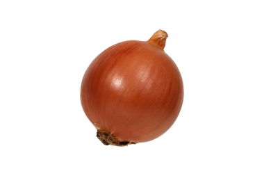 Taze ve canlı Tüm Soğan İzole edilmiş png Arkaplanı.