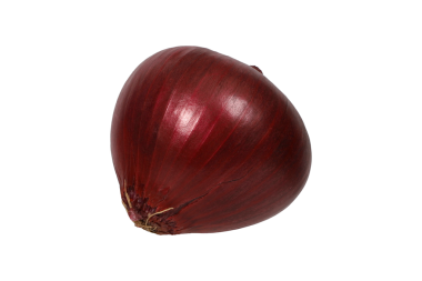 Taze ve canlı Tüm Kırmızı Soğan İzole edilmiş png Arkaplanı.