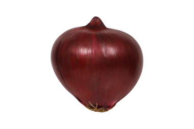 Taze ve canlı Tüm Kırmızı Soğan İzole edilmiş png Arkaplanı.