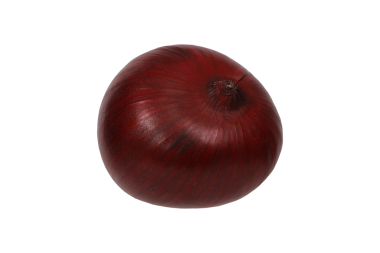 Taze ve canlı Tüm Kırmızı Soğan İzole edilmiş png Arkaplanı.