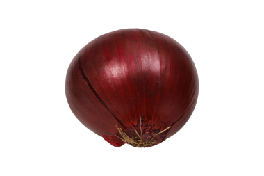 Taze ve canlı Tüm Kırmızı Soğan İzole edilmiş png Arkaplanı.