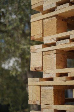 Doğal Dokuları Işıklandıran Açık Hava Ortamına Yığılmış Tahta Paletler