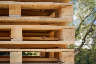 Doğal Dokuları Işıklandıran Açık Hava Ortamına Yığılmış Tahta Paletler