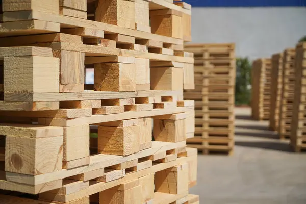 Tahta Paletler Doğal Işık Altında Yığılmış
