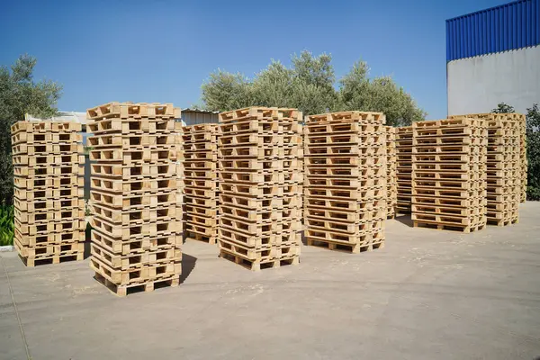 Güneşli bir günde bir depolama tesisinde saklanmış ahşap paletler..