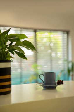 Parlak Ofis Tezgahında Yeşil Bitkili Modern Kahve Fincanı