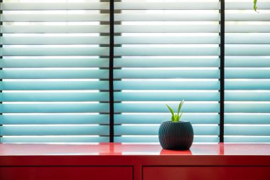 Mavi Louvered Penceresi 'ndeki Kırmızı Kabine' de Tek Saksı Bitkisi