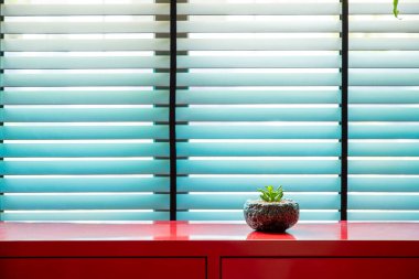 Mavi Louvered Penceresi 'ndeki Kırmızı Kabine' de Tek Saksı Bitkisi