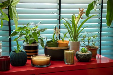 Pencerenin önündeki Parlak Kırmızı Dolapta Kapalı Çiçekler ve Mumlar