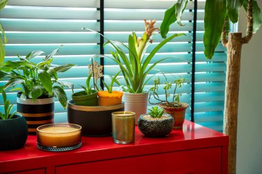 Pencerenin önündeki Parlak Kırmızı Dolapta Kapalı Çiçekler ve Mumlar