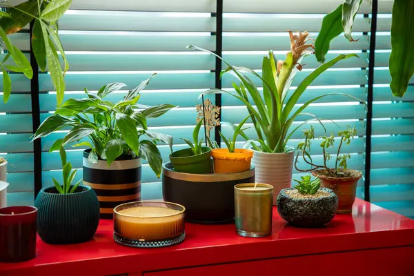 Pencerenin önündeki Parlak Kırmızı Dolapta Kapalı Çiçekler ve Mumlar